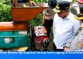 Panen Jagung